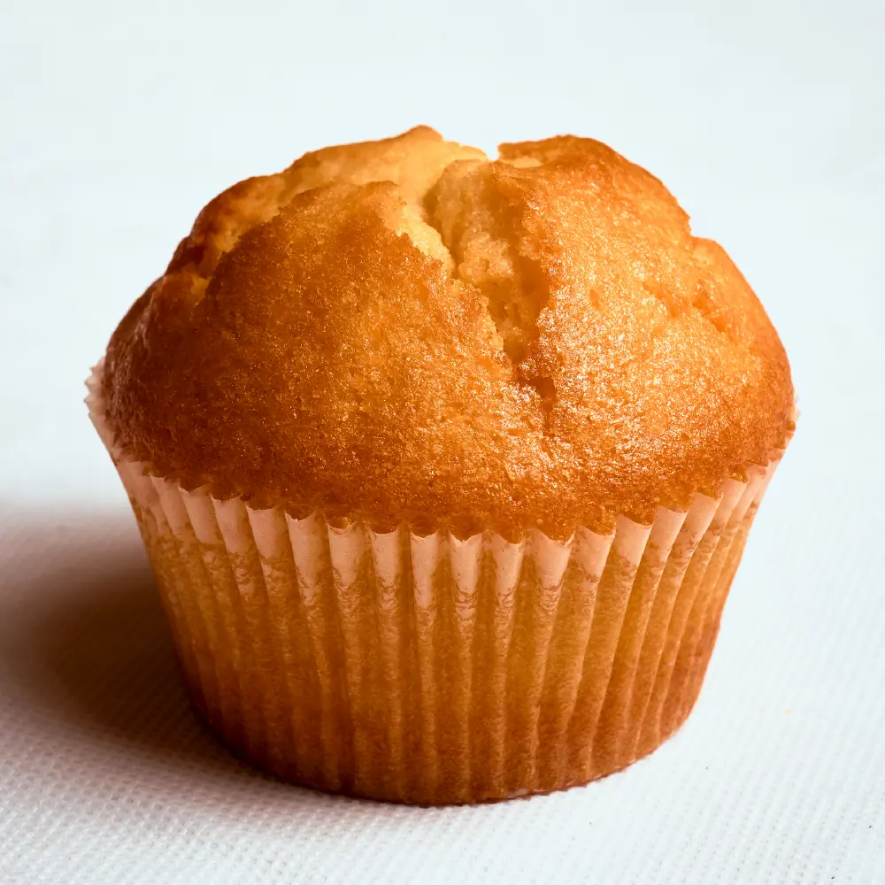 Tulip Vanila - Image 2